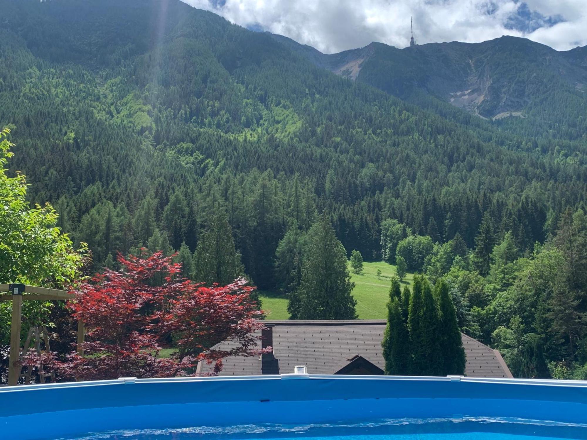 Apartment Mit Bergblick In Bad Bleiberg